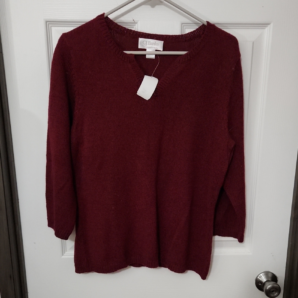 Burgundy Women's Sweater